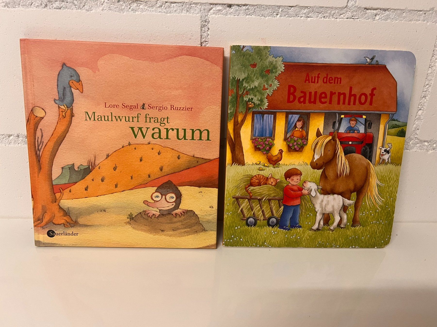 Libri: 6 Kinderbücher – Usato da Rümlang venduto da pasblu 3