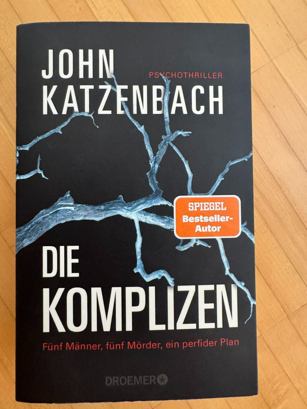 Libri: Die Komplizen - John Katzenbach – Usato da Küssnacht am Rigi venduto da DanielaH0102