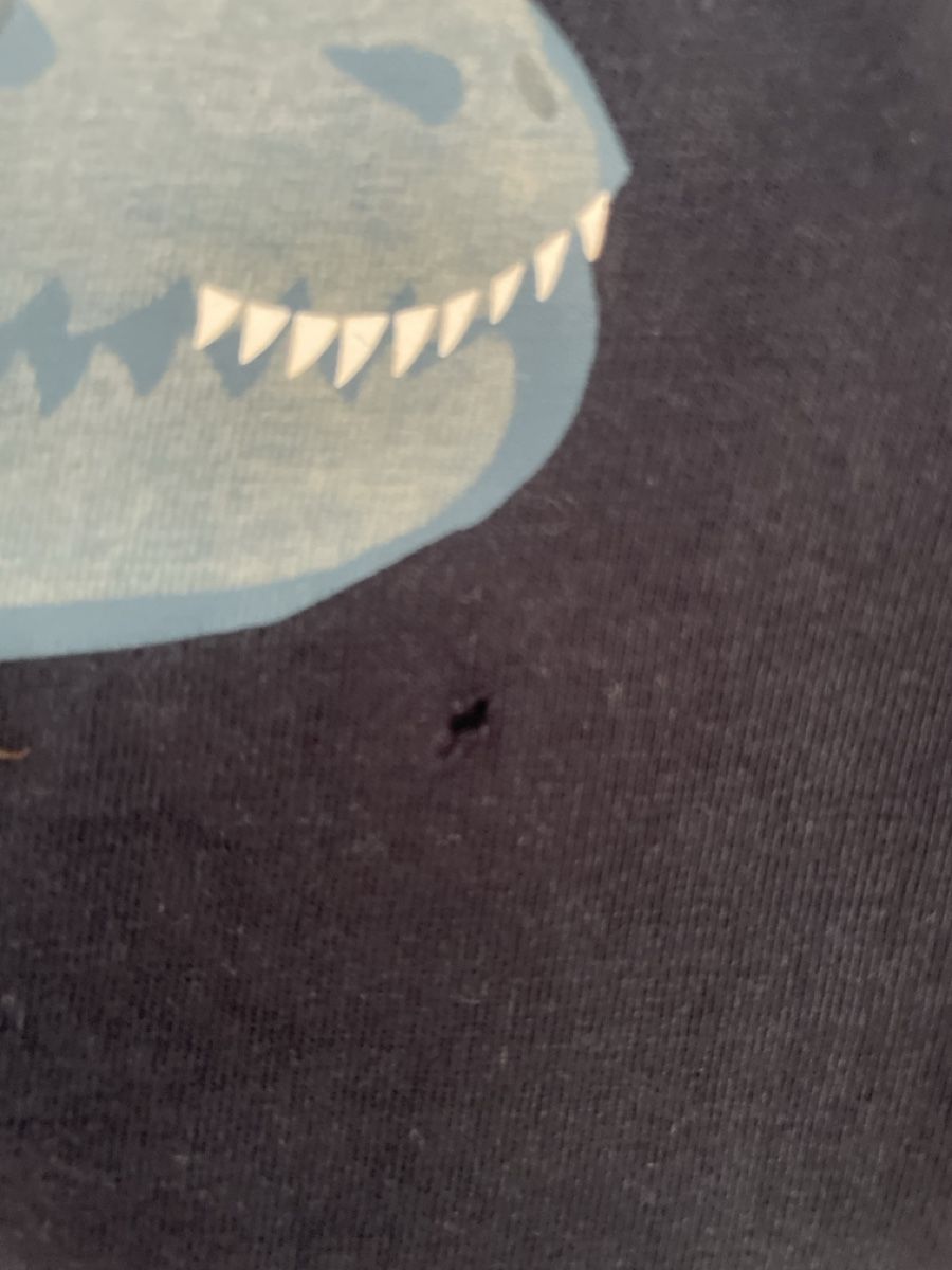 H&M Pullover & Sweatshirts: 4 H&M Pullover Gr.98/104 Dino 🦕 – Gebraucht aus Obergerlafingen von cabo4 3