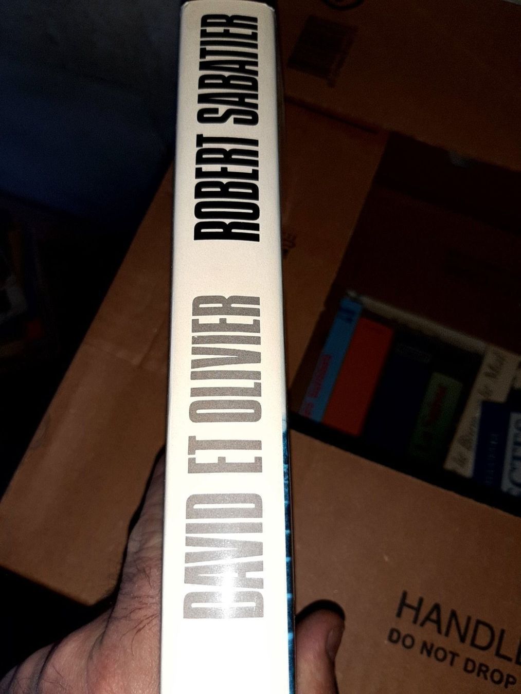Libri: david et olivier – Usato da Le locle venduto da juliensaran 1