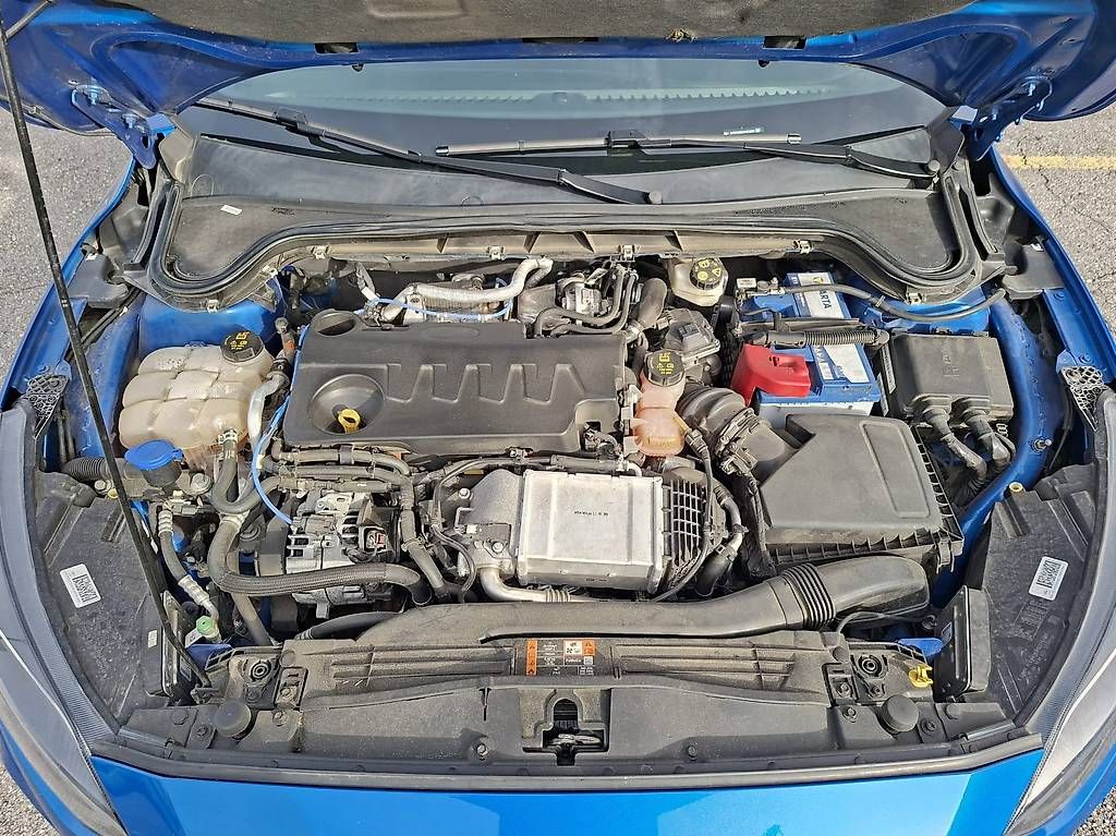 Automobili: FORD Focus 2.0 TDCi ST Line Automatic, B&O, Head-Up, Android – Usato da Flumserberg Bergh venduto da ali_bnr8 8