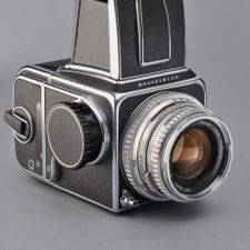 Profile image of Gologorizza