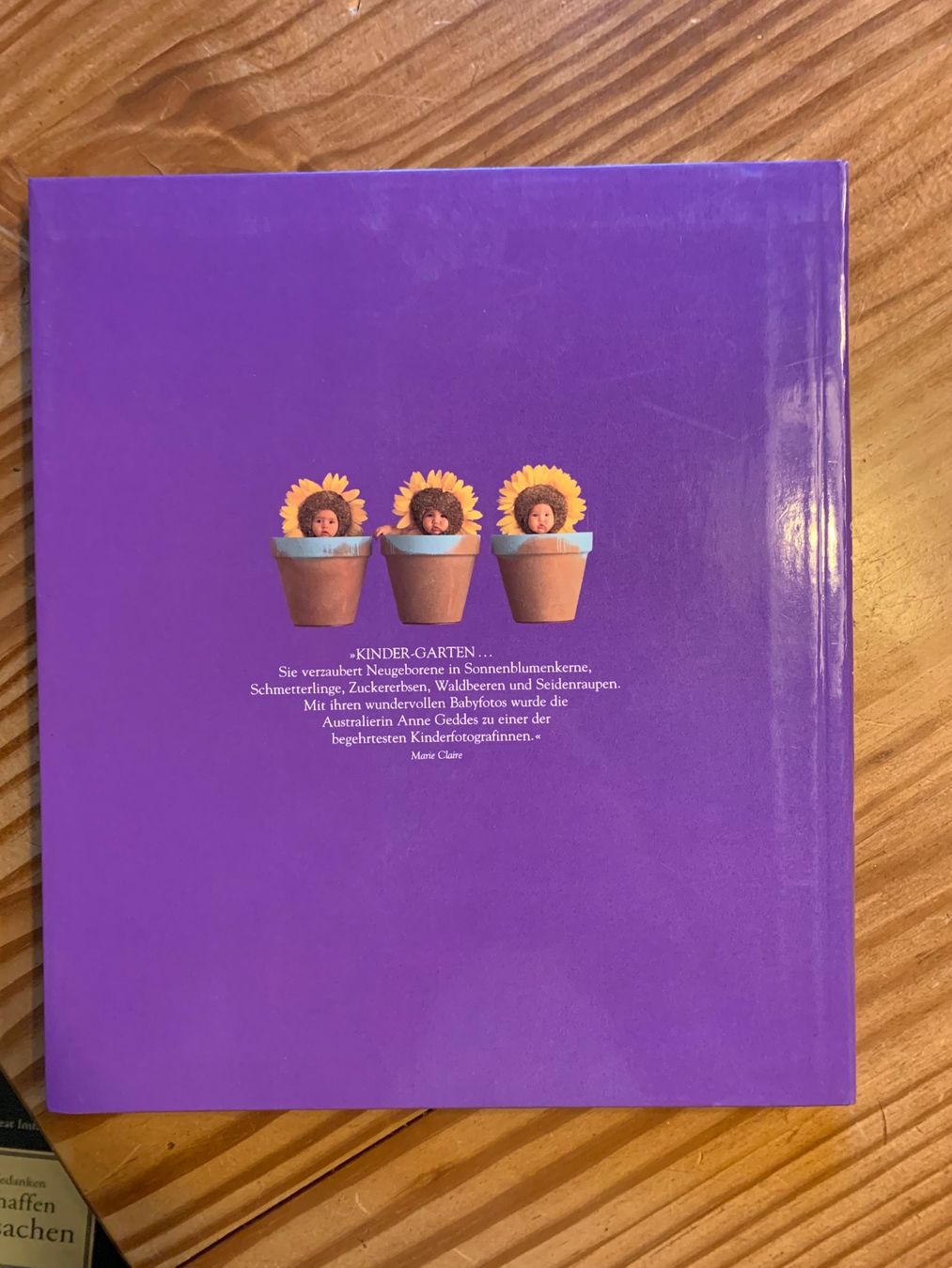 Bücher: Fotobuch "Drunten im Garten" Anne Geddes – Gebraucht aus Flaach von Rosatipi 1