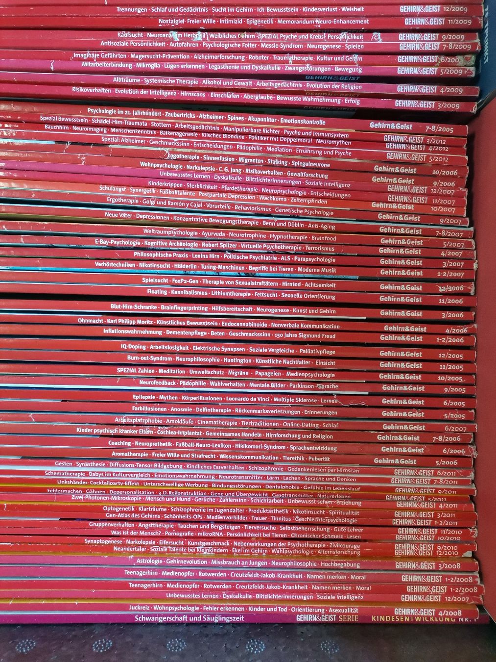 Riviste & Magazine: Grosses Magazin-Paket: Gehirn & Geist – Usato da St. Gallen venduto da Bir_Rer 2