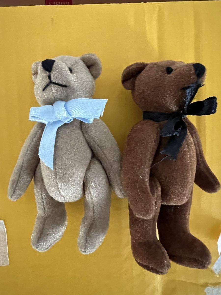 Jouets: Mini Teddys – D'occasion à Arboldswil par CJDA 2