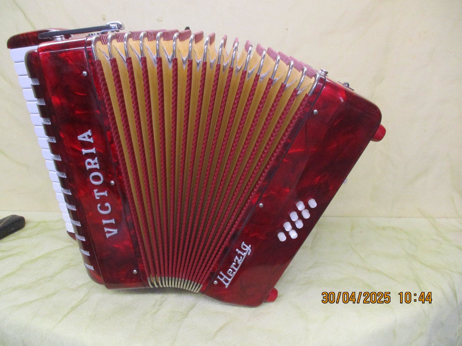 Victoria Musikinstrumente: Akkordeon Mini Victoria V26 – Gebraucht aus Jegenstorf von Oktavio 3
