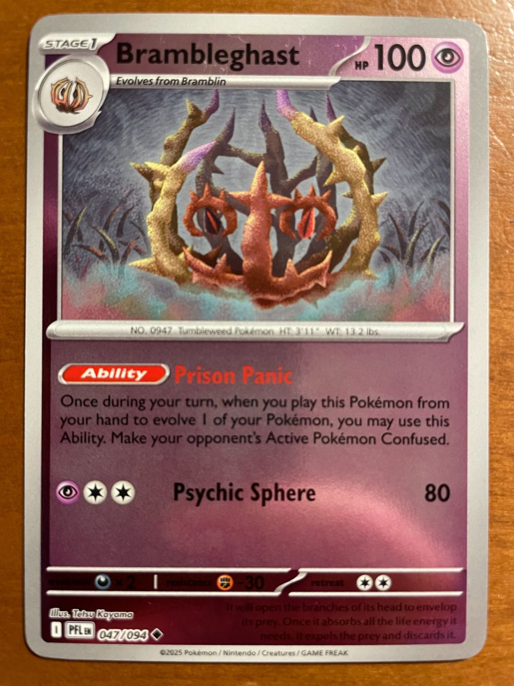 Pokémon Carte collezionabili: Pokemon Brambleghast Reverse (Versand gratis) – Nuovo (secondo la descrizione) da Chur venduto da Angerson