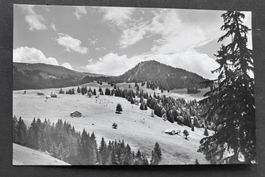 Regenmoos (Boltigen) Fotokarte ca. 1940