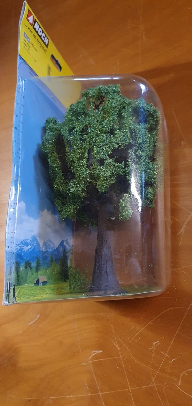 Noch Modelleisenbahnen: NOCH Eiche H0/0 21761 – Neu und originalverpackt aus Malters von jar_l66q 3