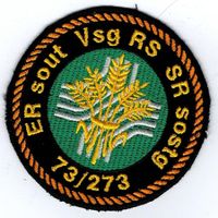 Oberarm  - Badge Vsg RS 73/273 zum Aufnähen