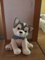 Peluche Husky assis géant