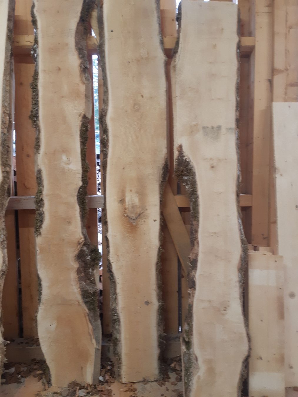 Articoli in legno: Bergahorn Bolen Bretter Nr.3 – Nuovo (secondo la descrizione) da Grindelwald venduto da carro5