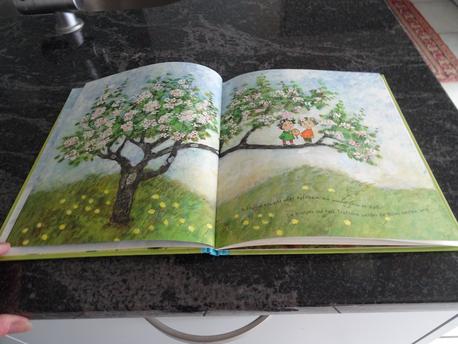 Libri: Bilderbuch Unser Apfelbaum - Neuwertig wunderschöne Bilder – Usato da Zürich venduto da Roulet 3