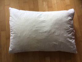Kopfkissen 65x100 cm