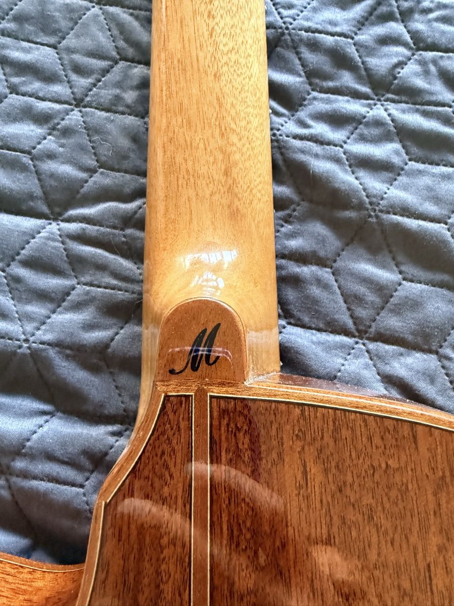 Strumenti musicali: Merida Electric Classic – Nuovo (secondo la descrizione) da Versoix venduto da yal_nm9g 5