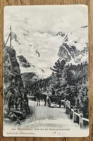 Berninastrasse, Blick a. Morteratschgletscher 1909