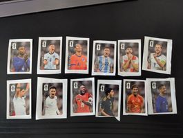 12 Coca-Cola Panini FIFA WM 2026 Sticker komplett