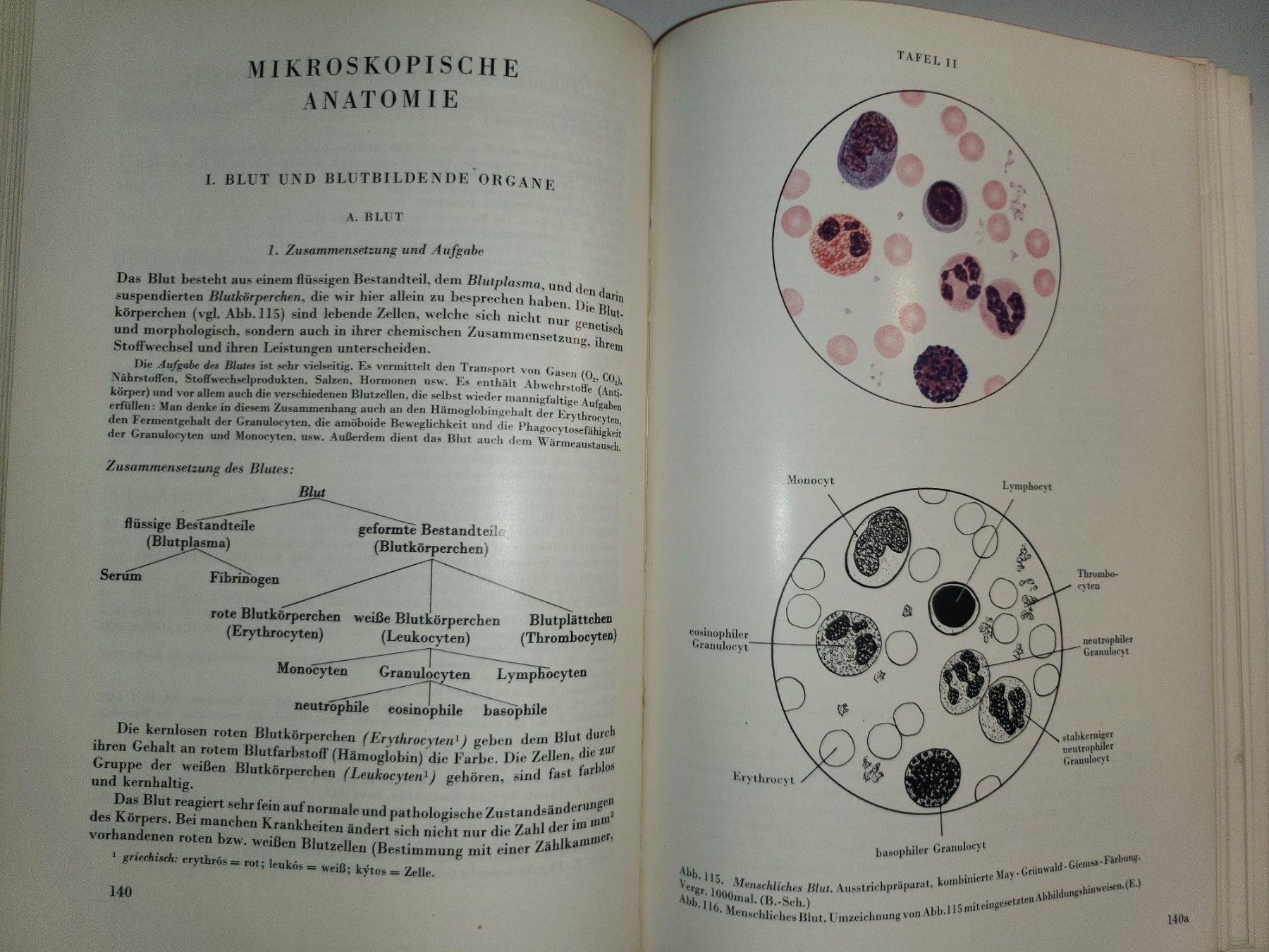 Libri: Histologie - Otto Bucher – Usato da Dietikon venduto da Buchantiqdietikon 2