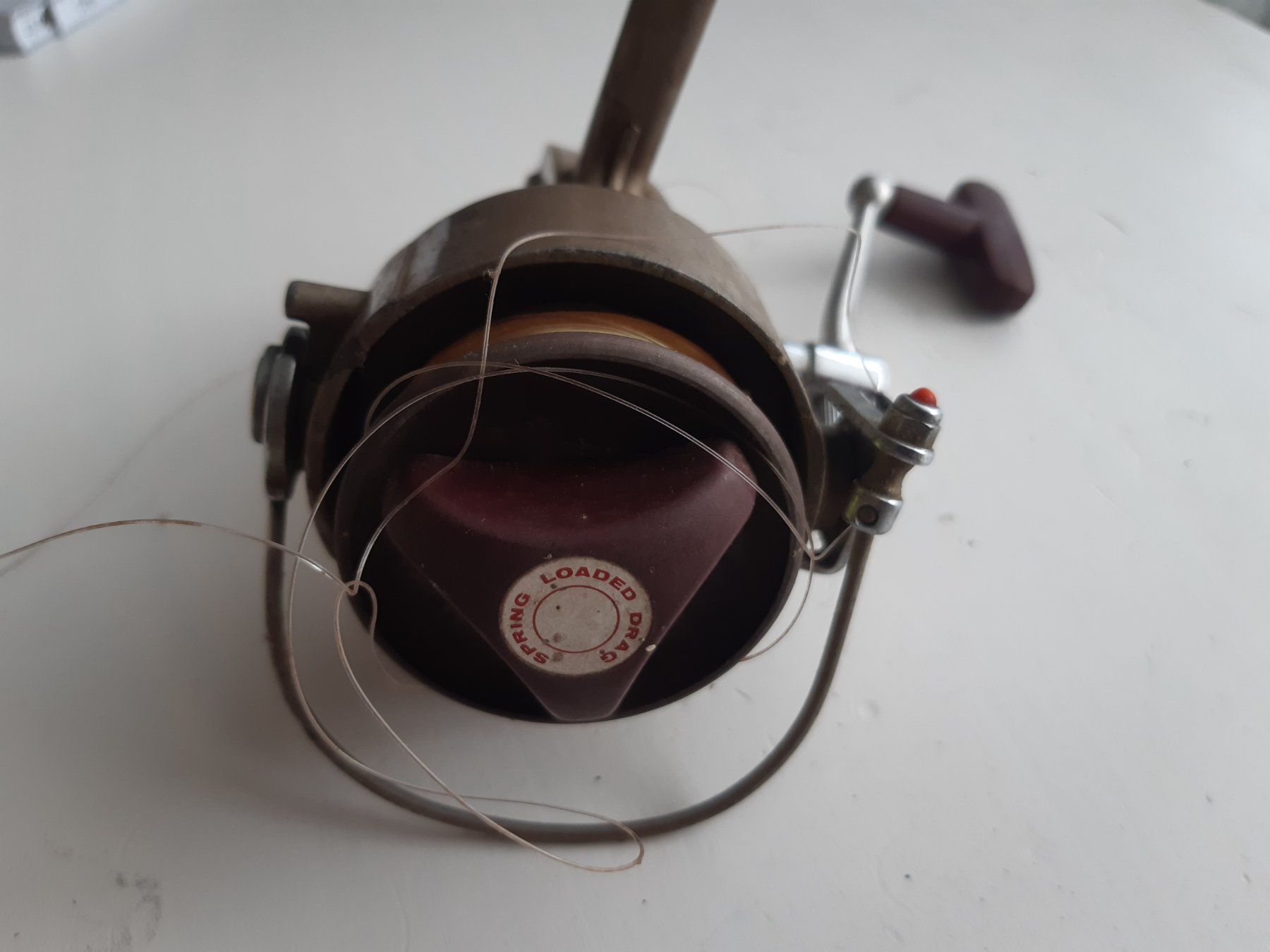 Daiwa Tamburi & Mulinelli: Daiwa 7300H Stationärrolle – Usato da Mitlödi venduto da blackgnat79 2