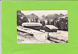 Partie bei Wengen