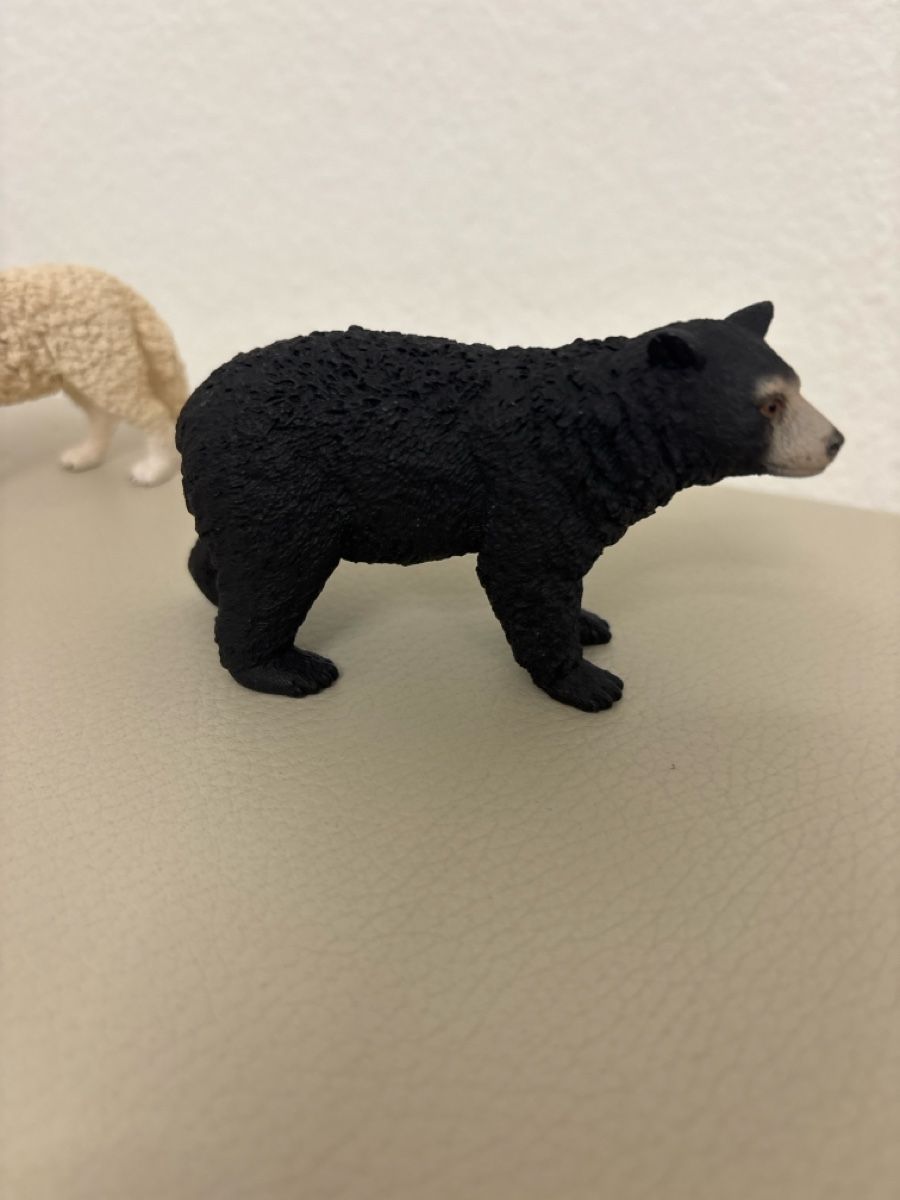 Statuette: Wildtiere Set: Bär, Wolf, Stinktier, Waschbär – Usato da Kriens venduto da mir_v8ww 3
