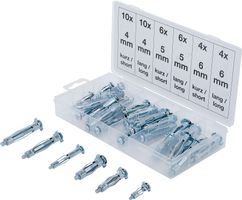 Spreiz-/Ankerdübel-Sortiment, 40-tlg.