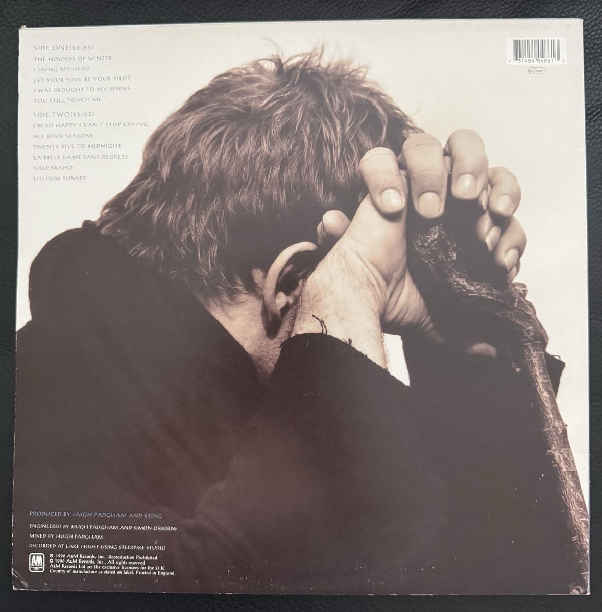 Dischi in vinile: Sting Mercury Falling Schallplatte LP – Usato da Goldach venduto da Donpancho 2