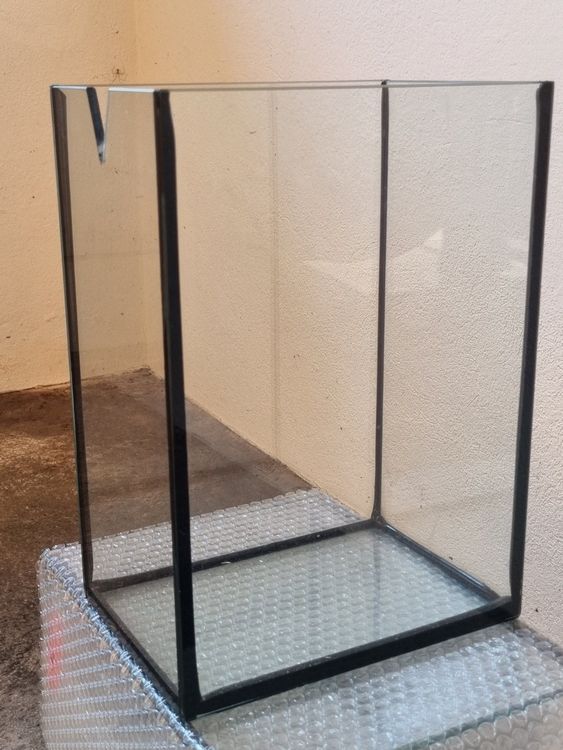 Aufzuchtbecken mit Ausguss Kaufen auf Ricardo