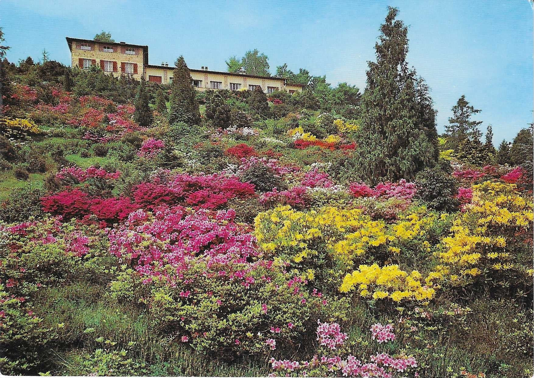Cartoline postali: Carona-San Grato TI – Nuovo (secondo la descrizione) da Rothrist venduto da Stranglehold