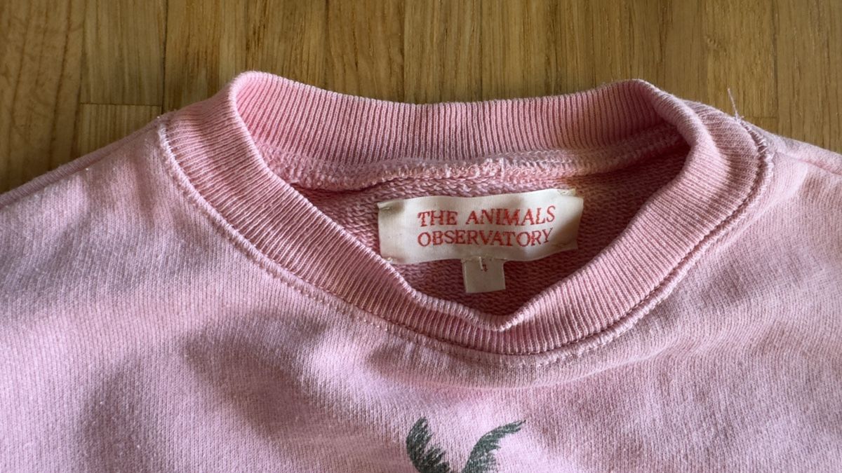 Pulls et sweat-shirts: THE ANIMALS OBSERVATORY Pullover gr.104 – D'occasion à Luzern par ja_0707 1