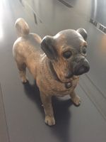 Chien Terracotta antique