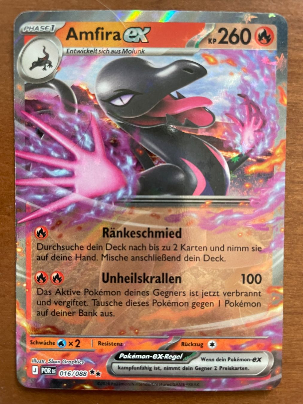 Pokémon Carte collezionabili: Pokemon Amfira eX (Versand gratis) – Nuovo (secondo la descrizione) da Chur venduto da Angerson