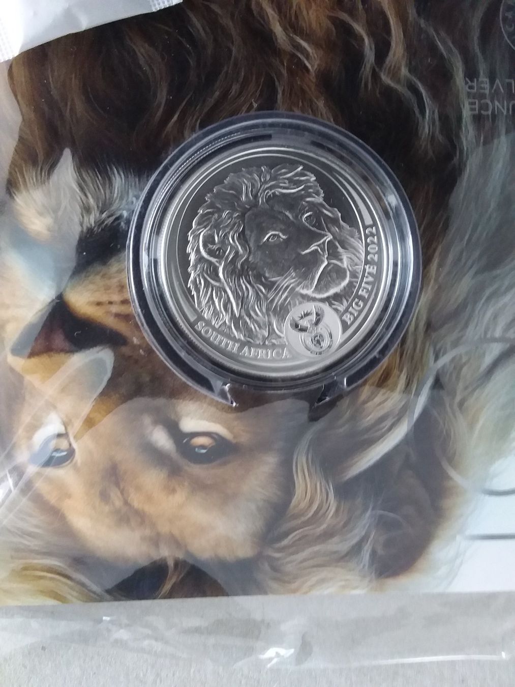 Tutti le monete: THE BIG 5 LION 2022 – Nuovo e nell'imballaggio originale da Schwyz venduto da Trofana 1