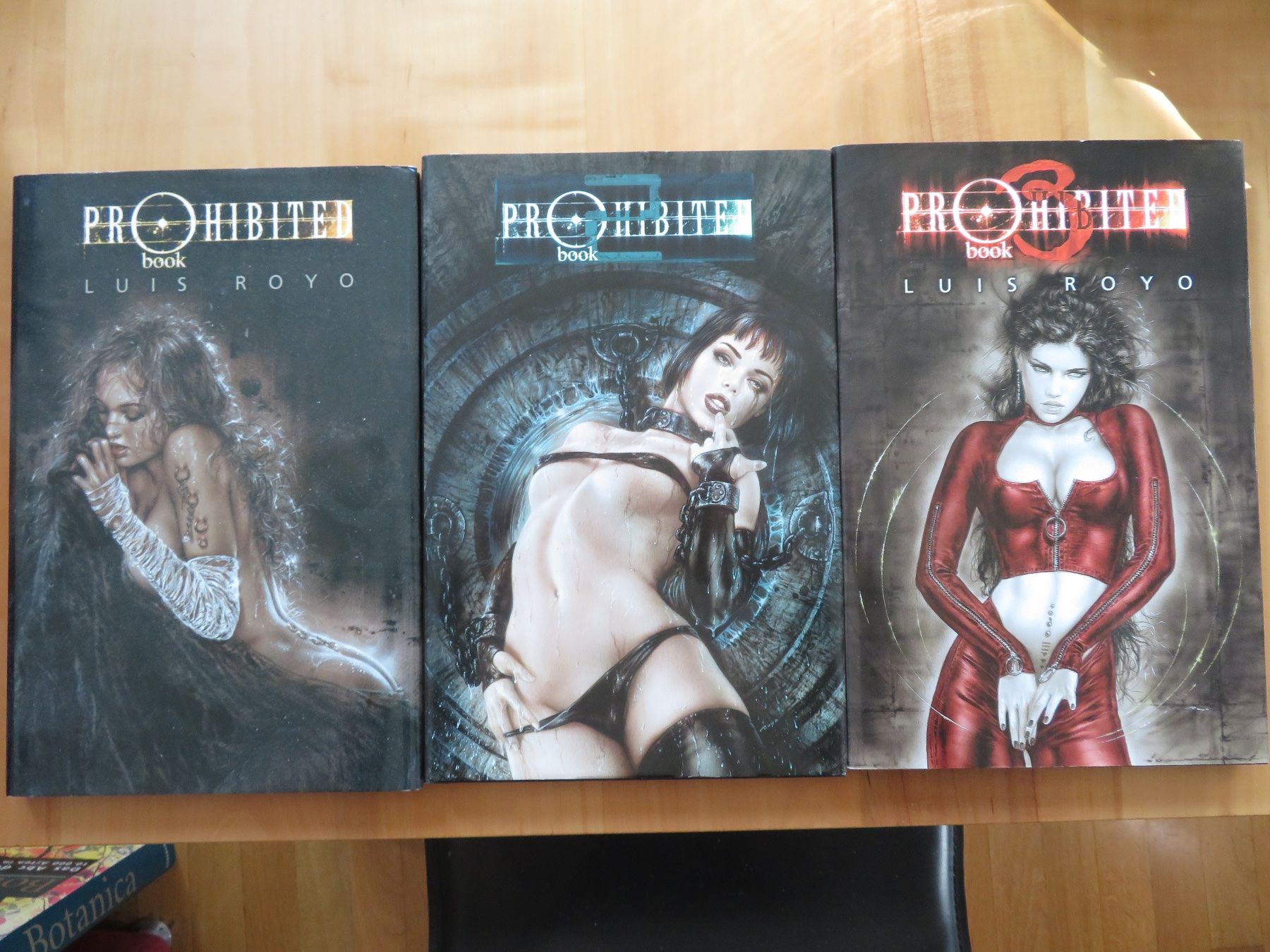 Comics: Luis Royo: Prohibited – Gebraucht aus Bern von mordswein