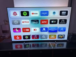Philips Oled, 65 Zoll mit Einbrennungen  im Display