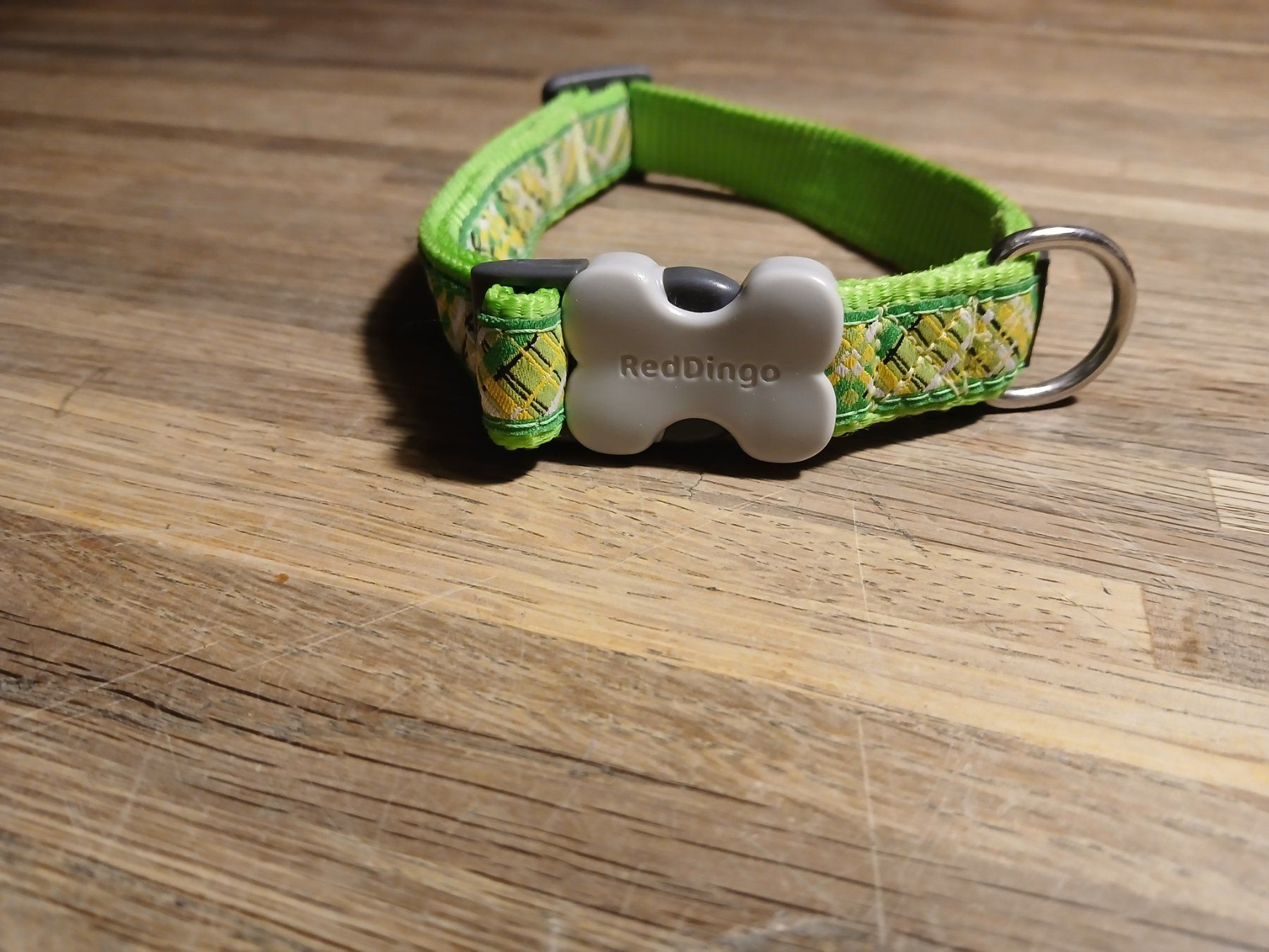 Guinzagli & Collari: Halsband RedDingo – Usato da Oberramsern venduto da lal_7v57