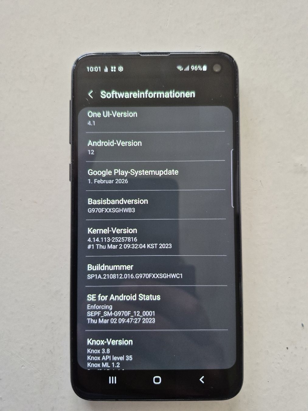 Samsung Telefoni cellulari / Smartphones: Samsung Galaxy S10e Smartphone gebraucht – Usato da Beinwil am See venduto da remagaut5712 3