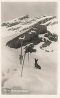 Säntis-Observatorium mit Hund & Ski