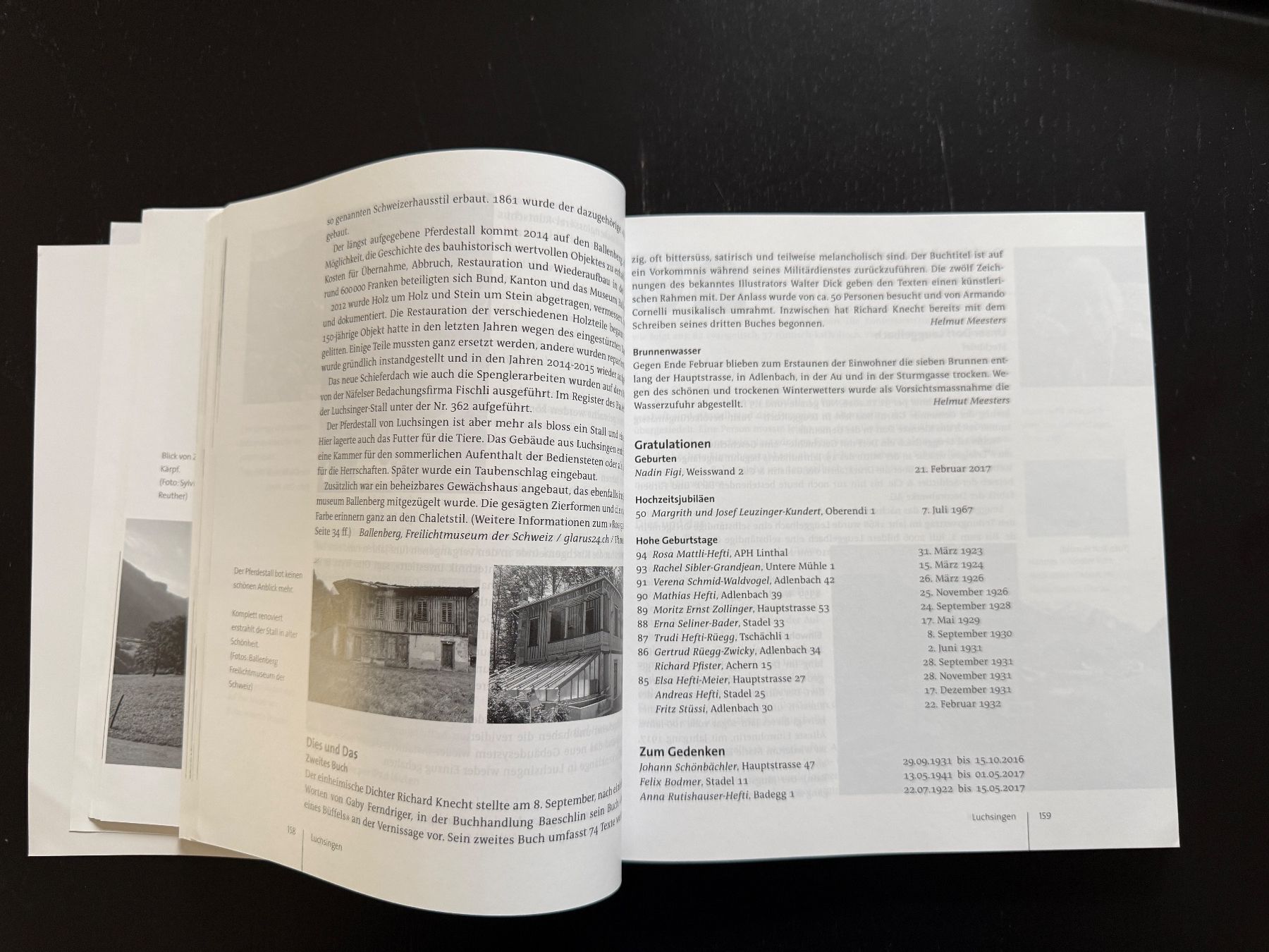 Bücher: Neujahrsbote Glarus Süd 2017 - Lokale Geschichte Schweiz – Gebraucht aus Erstfeld von Mario_boe0 3