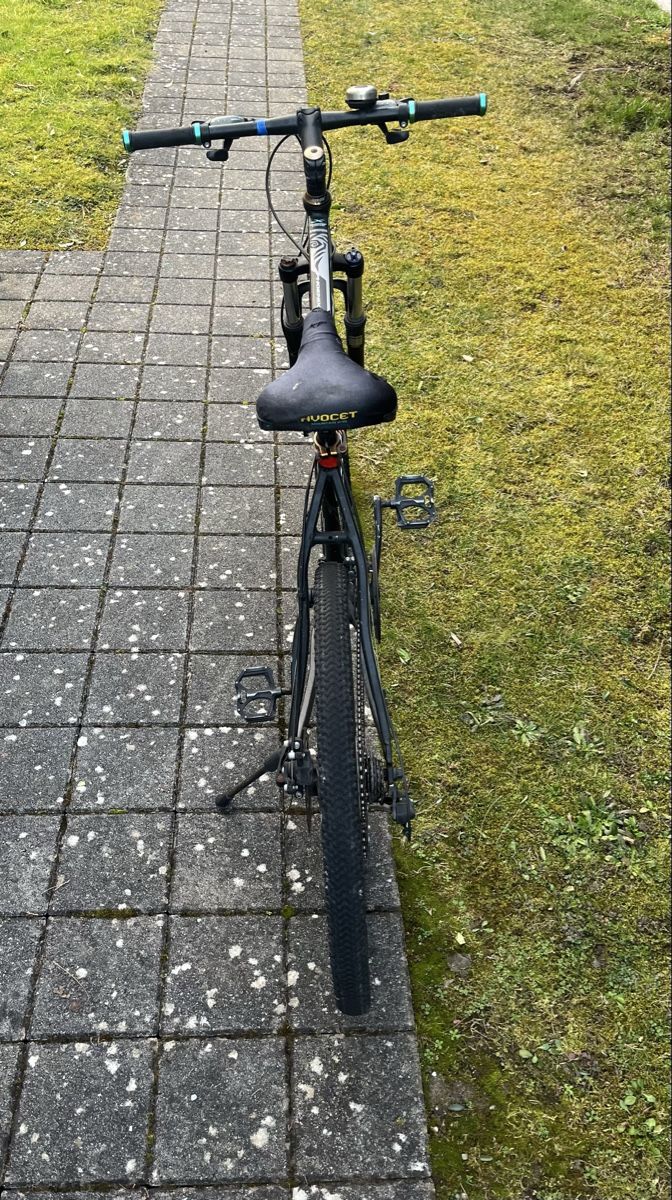 Phoenix Biciclette: Phoenix Velo – Usato da Sarnen venduto da flo_25mp 2