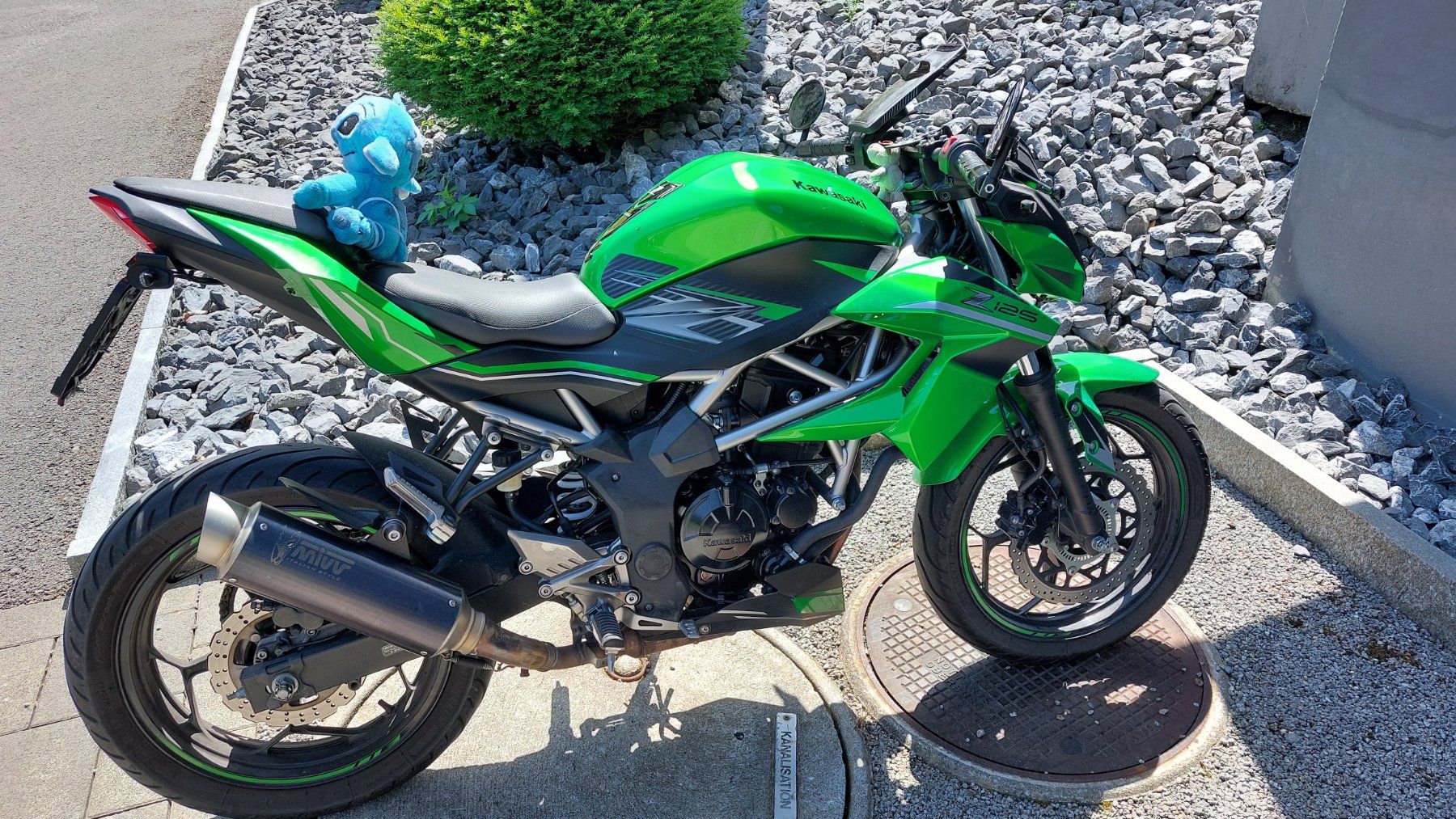 Kawasaki Strada: Kawasaki Z125 2021 ABS – Usato da Jegenstorf venduto da Banane44