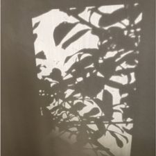Profile image of Raschwarz