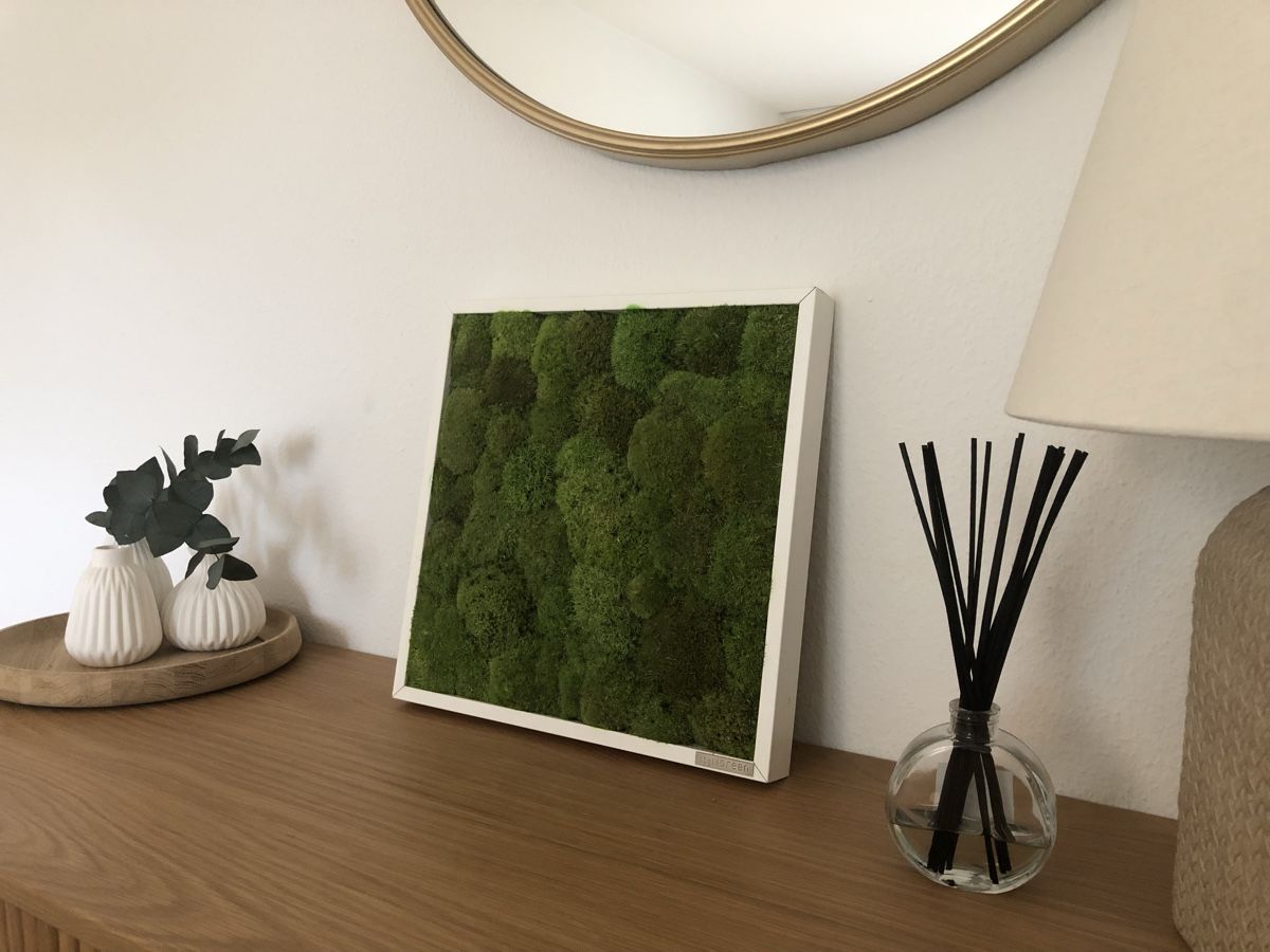Toutes les décorations: Moosbild 35x35cm – Neuf (Voir description) à Zürich par vadimi 2