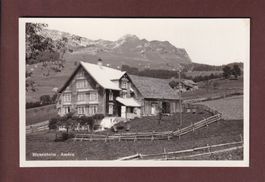 AMDEN - Bienenheim