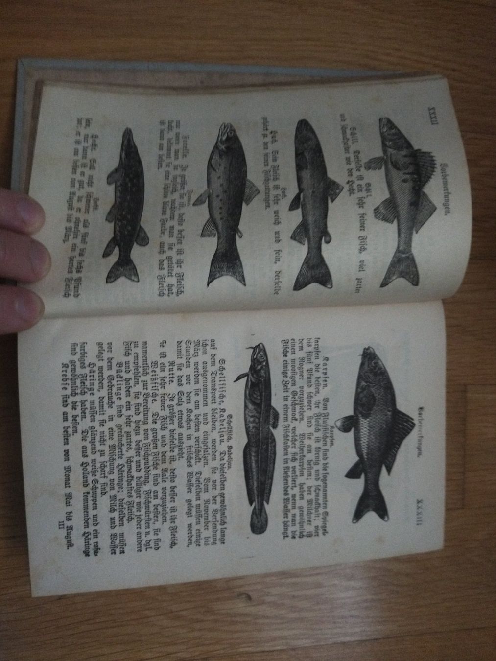 Bücher: Kochbuch antik 1896 Regensburg – Gebraucht aus Felben-Wellhausen von bananajoe8474 3