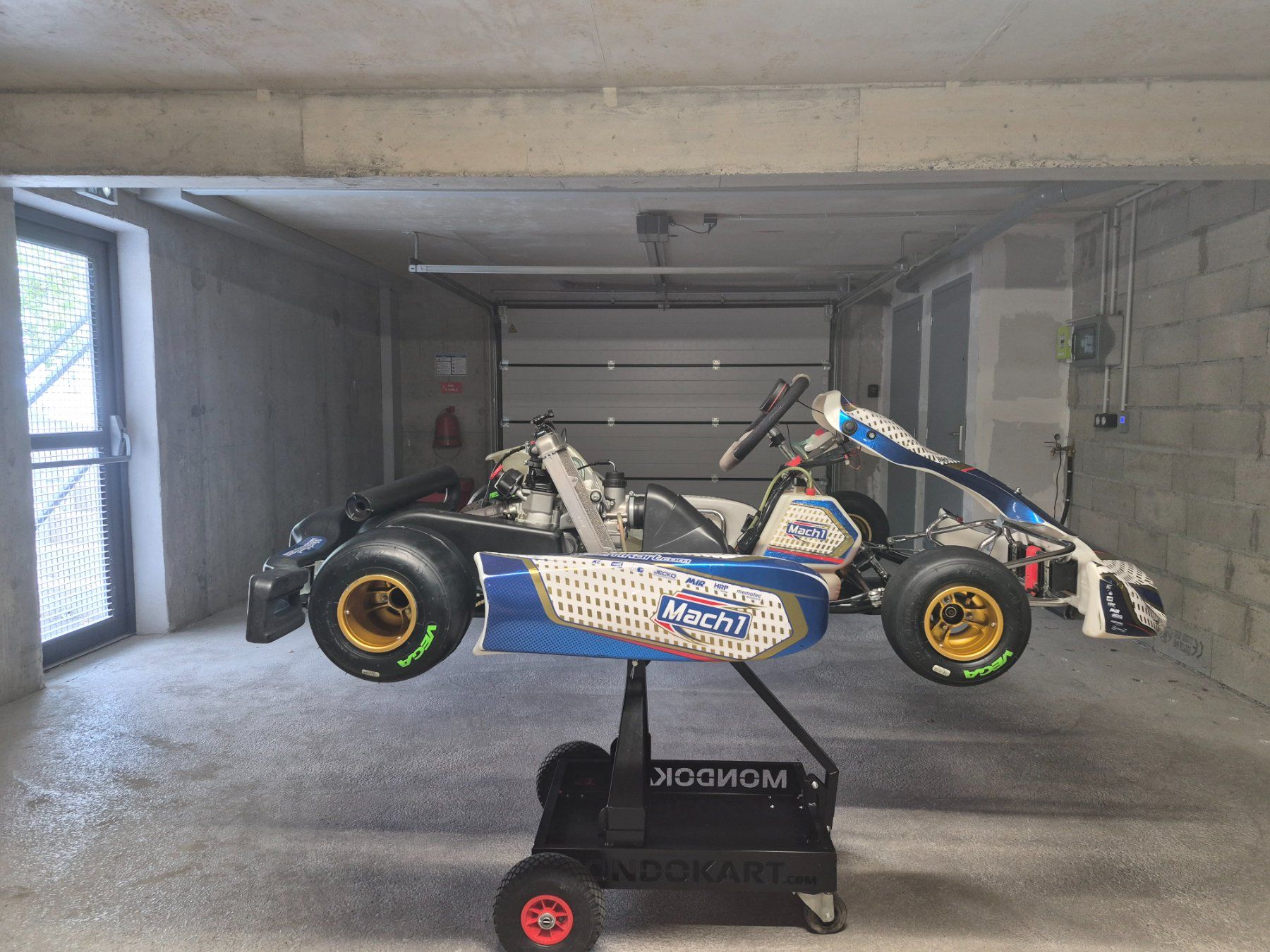 Rotax Go-Kart: Kart Rotax Max 125 – Usato da Onex venduto da MauroFrancesco 1