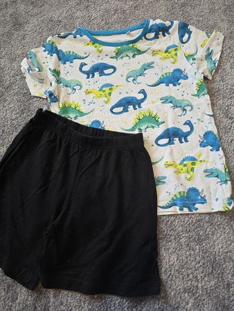 Pyjama Dinosaurier Grösse 134