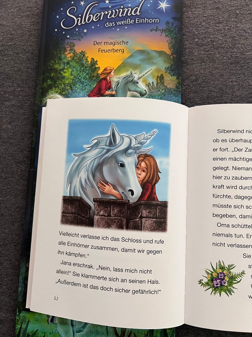 Livres: 3 Kinderbücher Silberwind Sandra Grimm – D'occasion à Langwiesen par rheinfall59 1