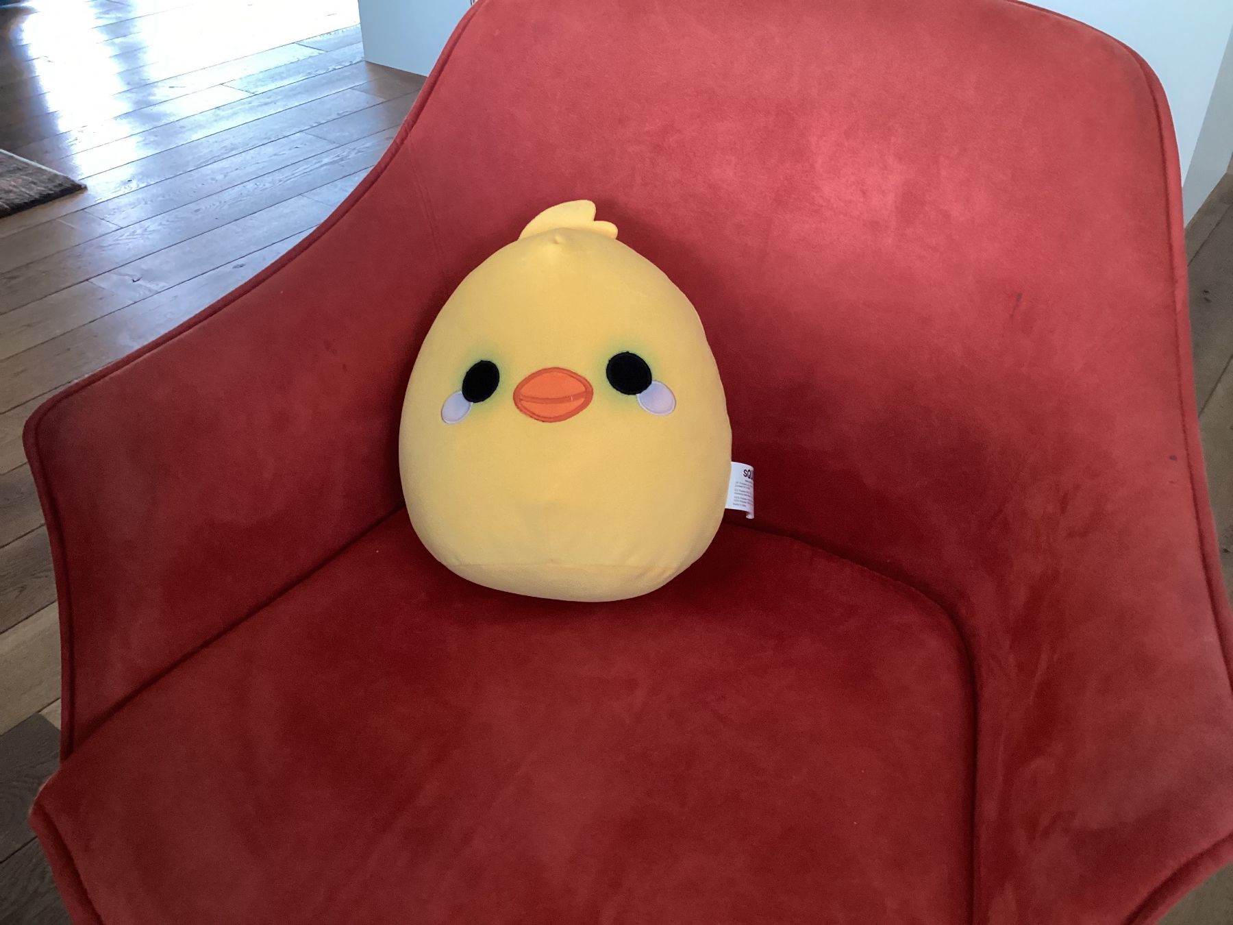 Squishmallows Giocattoli: Squishmallow baby bird – Nuovo (secondo la descrizione) da Zug venduto da Chikimiki 2