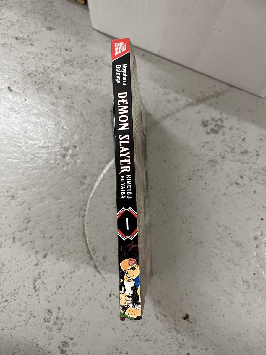 Fumetti: Demon slayer Manga 1 – Usato da Zürich venduto da Chloemanza 1